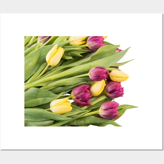 TULIPS Wall Art by Art by Eric William.s